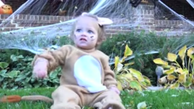 WESTMINSTER COLORADO-2015: Baby Girl Wearing Lion Costume Sitting On Green Grass