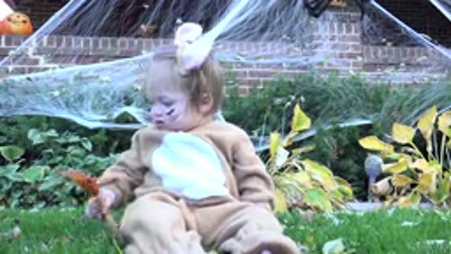 WESTMINSTER COLORADO-2015: Cute Disguised Baby Girl Trying to Catch the Tail