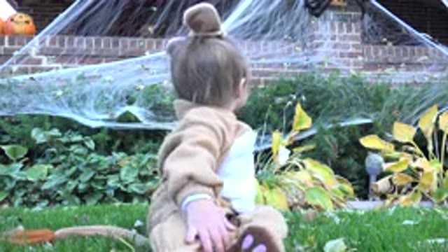 WESTMINSTER COLORADO-2015: Child Wearing Animal Costume and Painted Whiskers on Grass