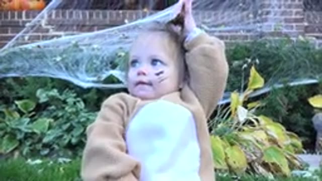WESTMINSTER COLORADO-2015: Lovely Baby Girl Dressed In A Cat Costume In The