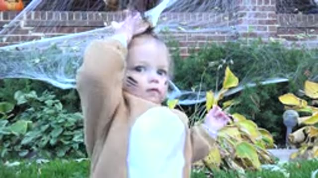 WESTMINSTER COLORADO-2015: A Cute Little Girl Pulling Off the Ears of Her Bear