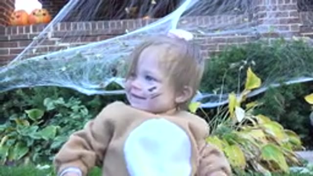 WESTMINSTER COLORADO-2015: On Halloween A Young Blonde Girl Dressed As A Lion