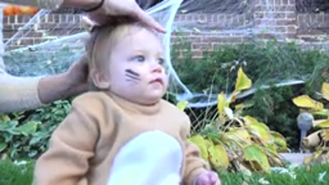 WESTMINSTER COLORADO-2015: Parent Dressing Up His Daughter's Head In The Garden