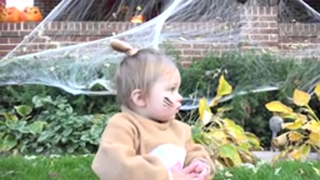 WESTMINSTER COLORADO-2015: Toddler Wearing Brown Rabbit Costume Sits Near Green Shrubs