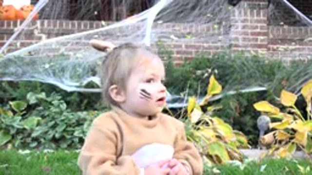 WESTMINSTER COLORADO-2015: A Baby Girl In A Animal Costume Looking Around In A