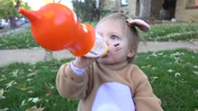 WESTMINSTER COLORADO-2015: Trick Or Treat – Who Let Joey Out Of The Bag