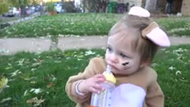 WESTMINSTER COLORADO-2015: Baby Sitting In A Yard Covered In Leaves