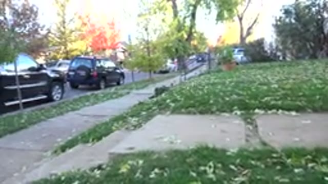 WESTMINSTER COLORADO-2015: Hand Held Camera Footage From Front Yard Of Neighborhood