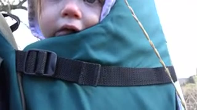 GOLDEN COLORADO-2015: A Little Blonde Baby Sitting In A Backpack For Babies On