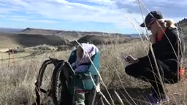 GOLDEN COLORADO-2015: A Baby And Her Mother Exploring Nature And The Amazing