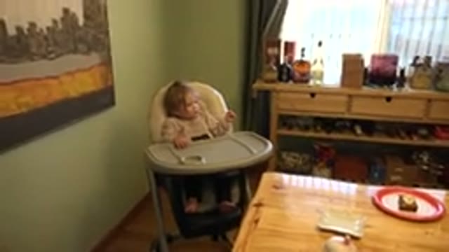 WESTMINSTER COLORADO-2015: Baby Watches Adult Wearing Glasses Looking For