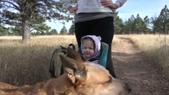GOLDEN COLORADO-2015: Family Hikes With Dog On A Chilly Day