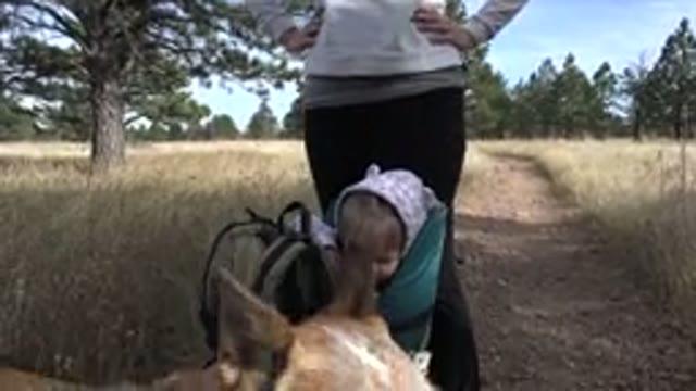 GOLDEN COLORADO-2015: Family Hiking In The Middle Of Nature With Their Baby In A Backpack
