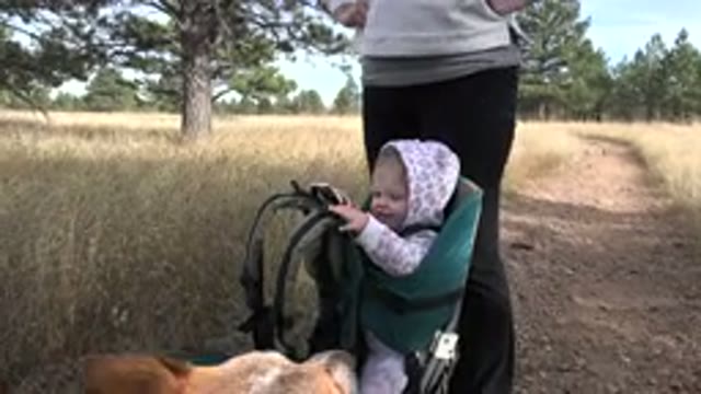 GOLDEN COLORADO-2015: Mom And Baby Hiking In The Woods
