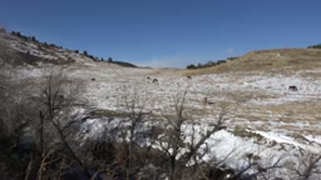 GOLDEN COLORADO-2015: A Open Land Expanse With Dry Grass And Snow