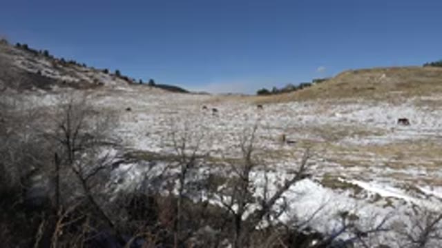 GOLDEN COLORADO-2015: Nature View From A Desert At Colorado Captured With No Clouds
