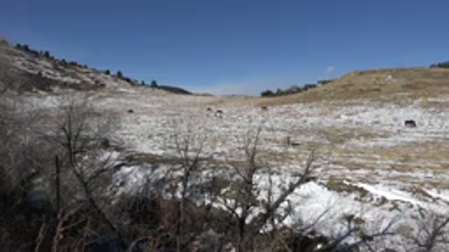 GOLDEN COLORADO-2015: A Snowy And Mountainous Terrain With Some Trees In The