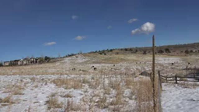 GOLDEN COLORADO-2015: Countryside With Dry Grass, Sand, Houses and Trees