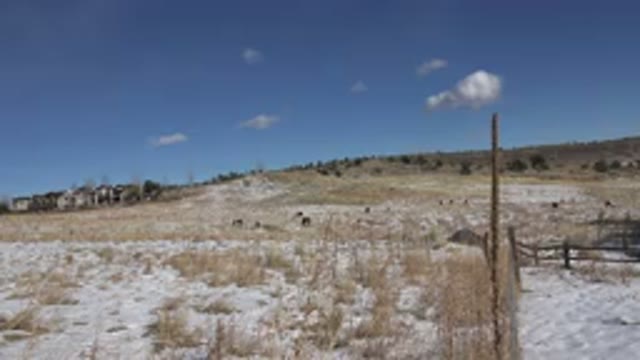 GOLDEN COLORADO-2015: Looking Up A Hill Towards Building In Distance Wooden