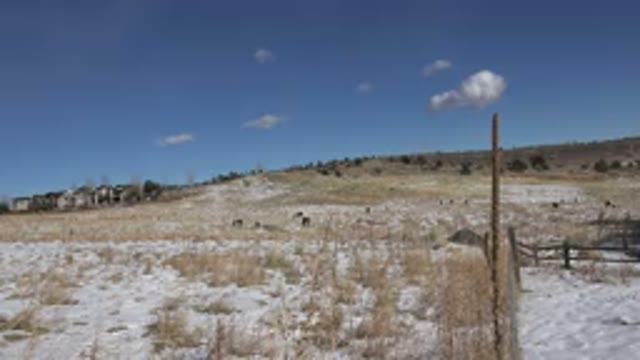 GOLDEN COLORADO-2015: Tan Field Blue Sky And Small White Clouds On A Clear Sunny