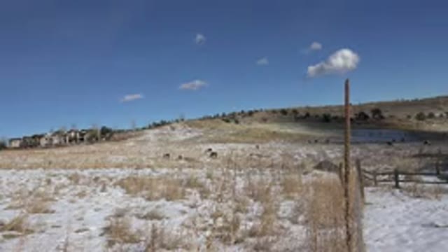 GOLDEN COLORADO-2015: Meadow Near An Outfield Where Wile E Coyote And Roadrunner Chase