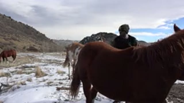 GOLDEN COLORADO-2015: Man With Sunglasses Rides Horse in Mountains