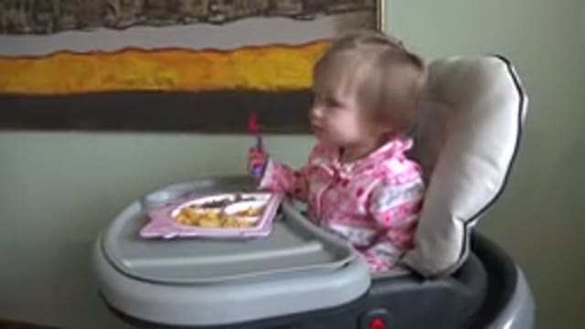 WESTMINSTER COLORADO-2015: Cute Alert Aware Focused Smart Independent Happy