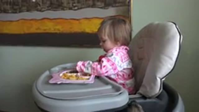WESTMINSTER COLORADO-2015: The Dog Takes Care Of The Baby As The Baby Enjoys The Meal