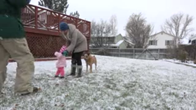 WESTMINSTER COLORADO-2015: Family With A Child And A Dog Plays Outside In The Snow
