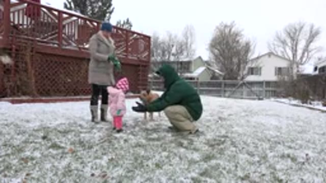 WESTMINSTER COLORADO-2015: Daddy and Mommy and Their Daughter With Their Dog