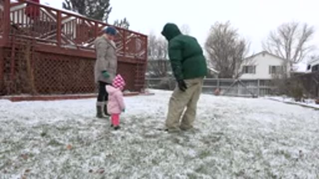 WESTMINSTER COLORADO-2015: Brown Dog Brings Tan Object To Toddler Wearing Pink