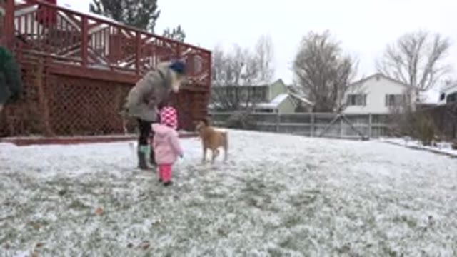 WESTMINSTER COLORADO-2015: The Family Has Fun In The Yard With The Dog On A Snowy Day
