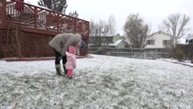 WESTMINSTER COLORADO-2015: Dog Attacks Baby on a Cold Morning