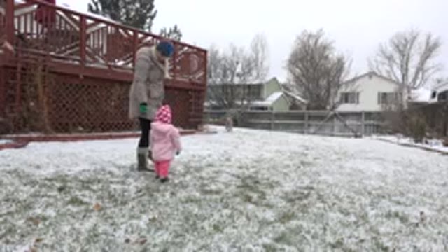 WESTMINSTER COLORADO-2015: Mom Daughter And Dog Playing In The Snow