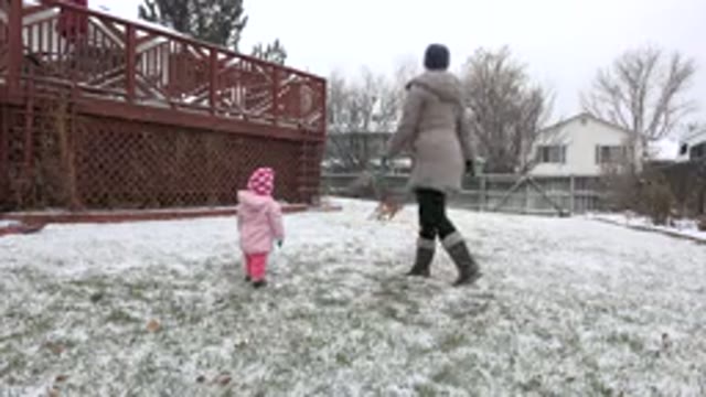 WESTMINSTER COLORADO-2015: Mom Daughter And Dog Playing Fetch Outside Their Home