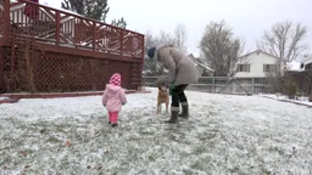 WESTMINSTER COLORADO-2015: Family Backyard Play Time Even The Dog Gets To Pursue