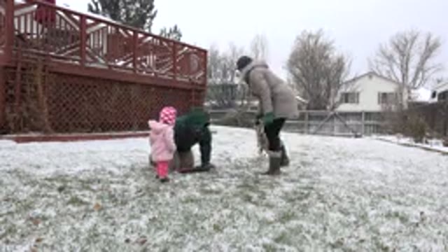 WESTMINSTER COLORADO-2015: A Father And A Mother Are Playing In The Snow With