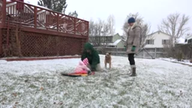 WESTMINSTER COLORADO-2015: Family Having Fun In The Snow With Their Dog Who