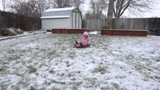 WESTMINSTER COLORADO-2015: A Family Approaches A Small Toddler Sitting Still In