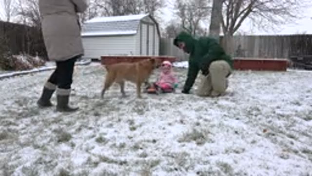 WESTMINSTER COLORADO-2015: Family With Dog in Snowy Winter Scene