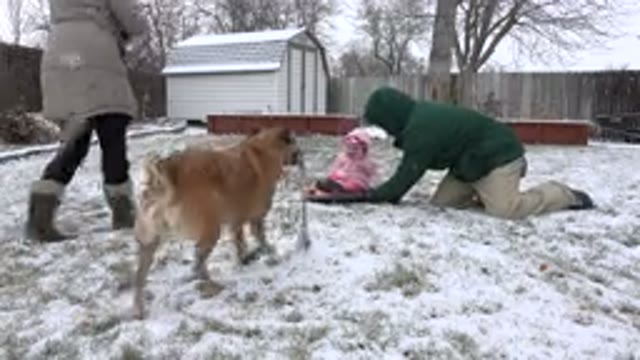 WESTMINSTER COLORADO-2015: Family Bonding In Snowy Morning