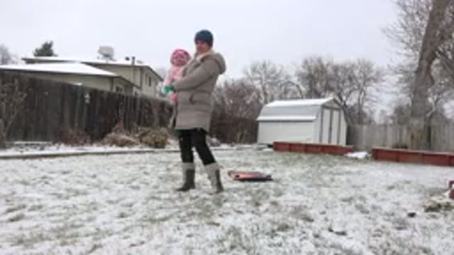 WESTMINSTER COLORADO-2015: Dog And His Family Playing In The Backyard On A Snowy Day