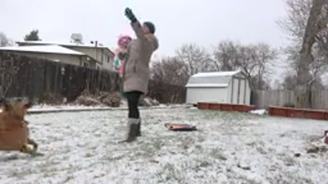 WESTMINSTER COLORADO-2015: Mom Is Holding Her Daughter While Playing Fetch With