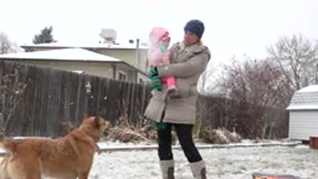 WESTMINSTER COLORADO-2015: A Snowy Background Showing Dog With Woman And Her
