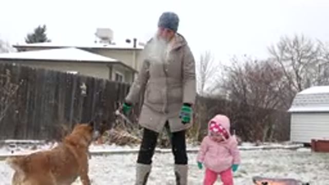 WESTMINSTER COLORADO-2015: Fetch Fur And Family