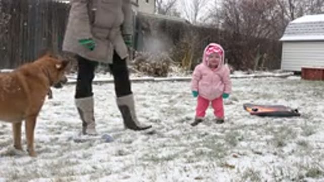 WESTMINSTER COLORADO-2015: Woman Throwing the Leash at the Dog with Her Daughter