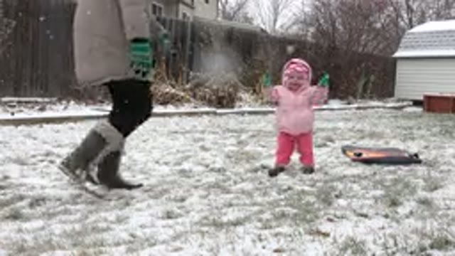 WESTMINSTER COLORADO-2015: Baby Playing Outdoors In The Snow With Parent And Dog