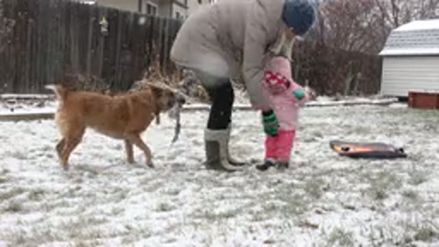 WESTMINSTER COLORADO-2015: Mother And Child Outside In The Snow With Brown Dog
