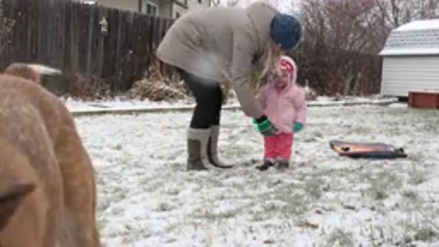 WESTMINSTER COLORADO-2015: Small Child In Thick Coat Plays In Snow With Mom And