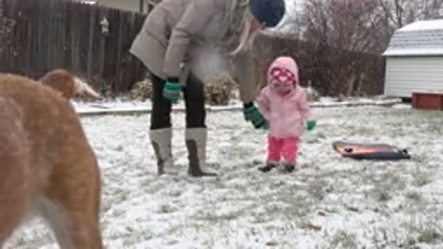 WESTMINSTER COLORADO-2015: Dog Has Fun Playing In The Backyard With His Owner